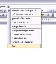 Outlook Info-Menü