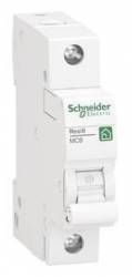 Schneider Electric R9F24110