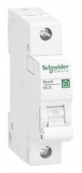 Schneider Electric R9F23110