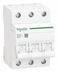 Schneider Electric R9F28316