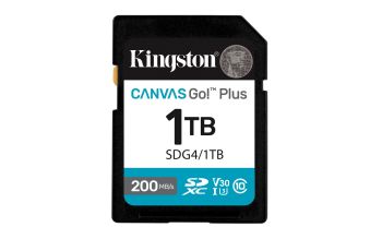 Kingston SDG4/1TB