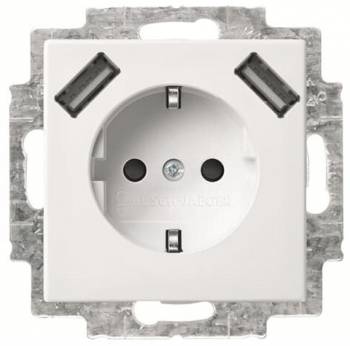 Busch Jaeger 2CKA002011A6266