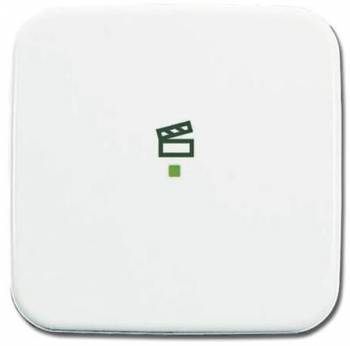 Busch Jaeger 2CKA006220A0084