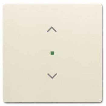 Busch Jaeger 2CKA006220A0398