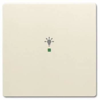 Busch Jaeger 2CKA006220A0397