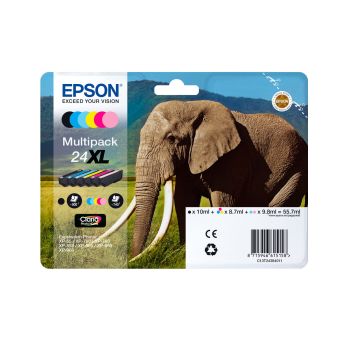 Epson C13T24314012
