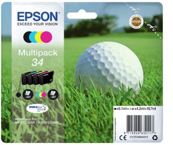 Epson C13T34664010