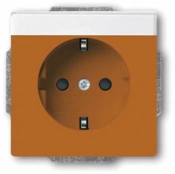 Busch Jaeger 2CKA002013A5425