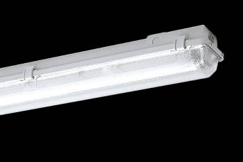 Schuch 163020208