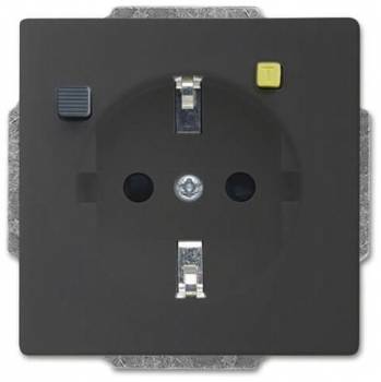 Busch Jaeger 2CKA003116A0667