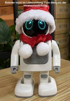 ALLNET Robert-Christmas