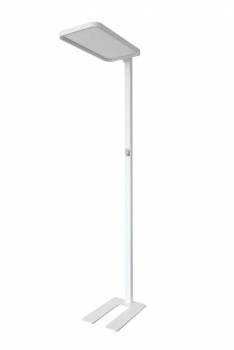 Synergy 21 S21-LED-NB-240025
