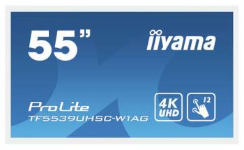 Iiyama