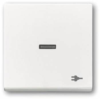 Busch Jaeger 2CKA001751A3160