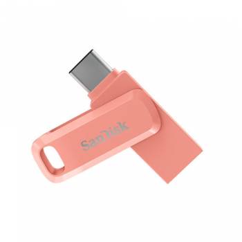 SANDISK SDDDC3-256G-G46PC