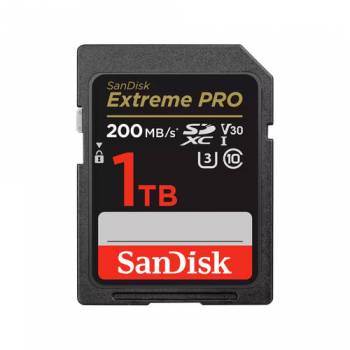 SANDISK SDSDXXD-1T00-GN4IN
