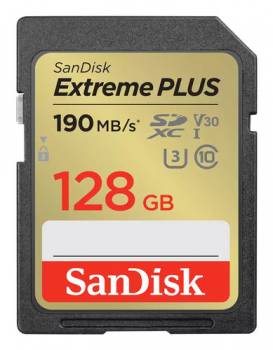 SANDISK SDSDXWA-128G-GNCIN