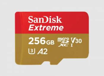 SANDISK SDSQXAV-256G-GN6MA