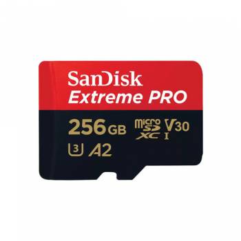 SANDISK SDSQXCD-256G-GN6MA