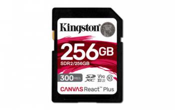 Kingston SDR2/256GB