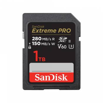SANDISK SDSDXEP-1T00-GN4IN