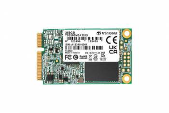 TRANSCEND TS256GMSA220S