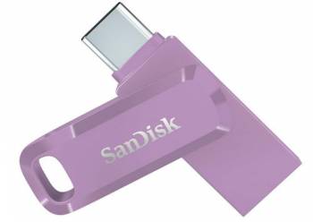 SANDISK SDDDC3-256G-G46L