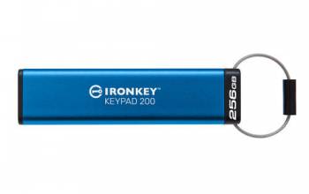 Kingston IKKP200/256GB