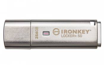 Kingston IKLP50/256GB