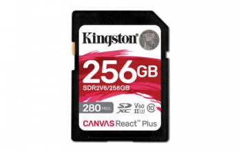 Kingston SDR2V6/256GB