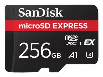 SANDISK SDSQXFN-256G-GN4NN