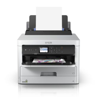 Epson C13T01C300