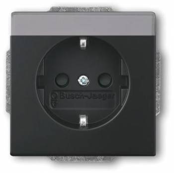Busch Jaeger 2CKA002013A5434
