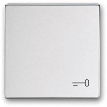 Busch Jaeger 2CKA001751A3198