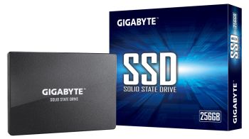 Gigabyte GP-GSTFS31256GTND