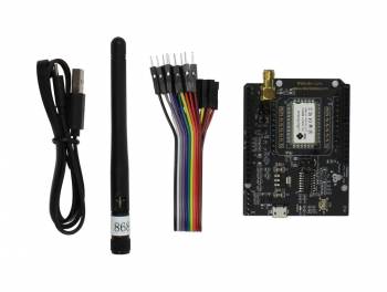 RAK Wireless P20.067