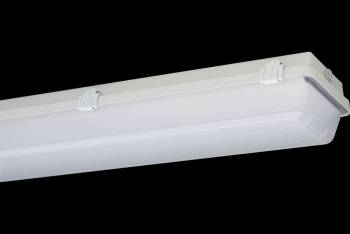 Schuch 162150312