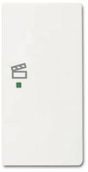 Busch Jaeger 2CKA006220A0493