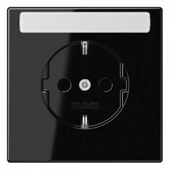 JUNG LS1520KINASW