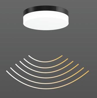 RZB 312135.0031.2.19