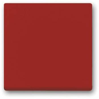 Busch Jaeger 2CKA001751A3145