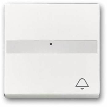 Busch Jaeger 2CKA001731A4001