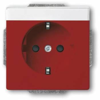 Busch Jaeger 2CKA002013A5423