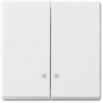 Busch Jaeger 2CKA001731A3996