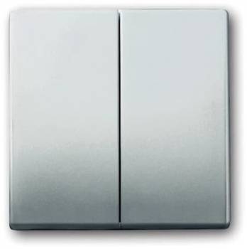 Busch Jaeger 2CKA001751A2962