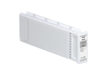 Epson C13T800000