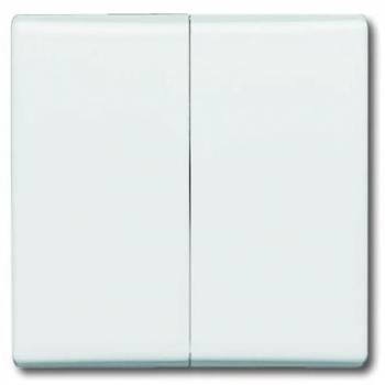 Busch Jaeger 2CKA001731A1601