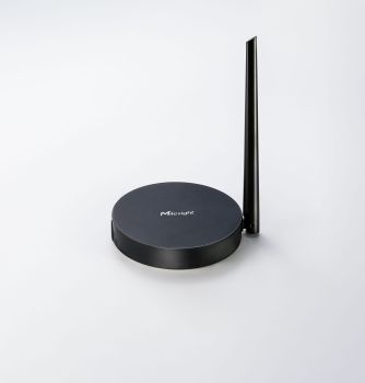 Milesight IoT HL31-868M