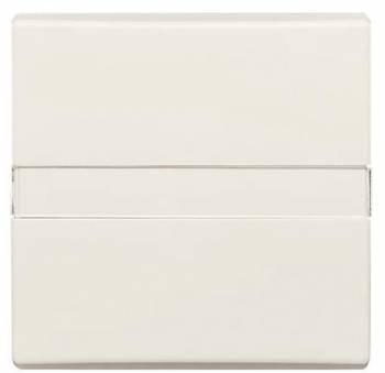 Busch Jaeger 2CKA001731A1825