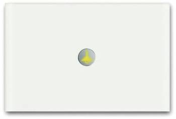 Busch Jaeger 2CKA006310A0167